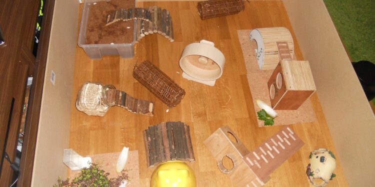 Qu'est ce qu'aime un hamster ?