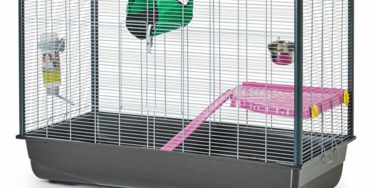 Qu'est-ce que ça mange un rat ?