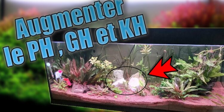Qu'est-ce que le KH dans un aquarium ?