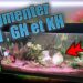 Qu'est-ce que le KH dans un aquarium ?