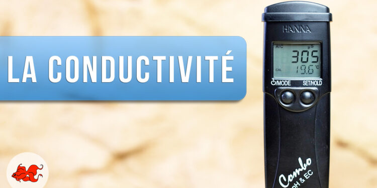 Qu'est-ce que le TDS d'une piscine ?