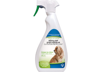 Qu'est-ce que les chiens détestent ?