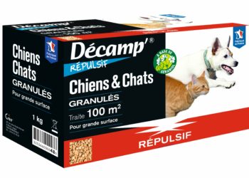 Qu'est-ce que les chiens détestent ?