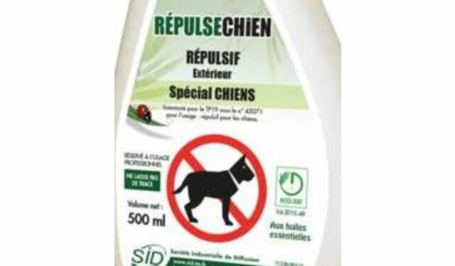 Qu'est-ce que les chiens détestent ?