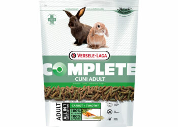 Qu'est-ce que les lapins adorent manger ?