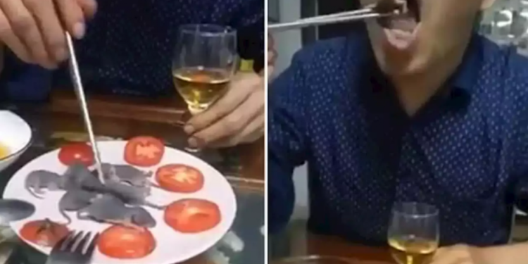 Qu'est-ce que les souris adore ?