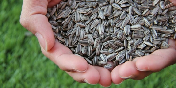 Qu'est-ce qui est toxique pour les oiseaux ?