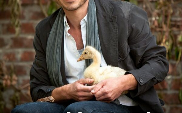 Qu'est ce qui remplace les marmottes ?