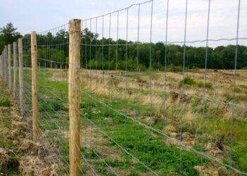 Qu'est-ce qu'un grillage soudé ?