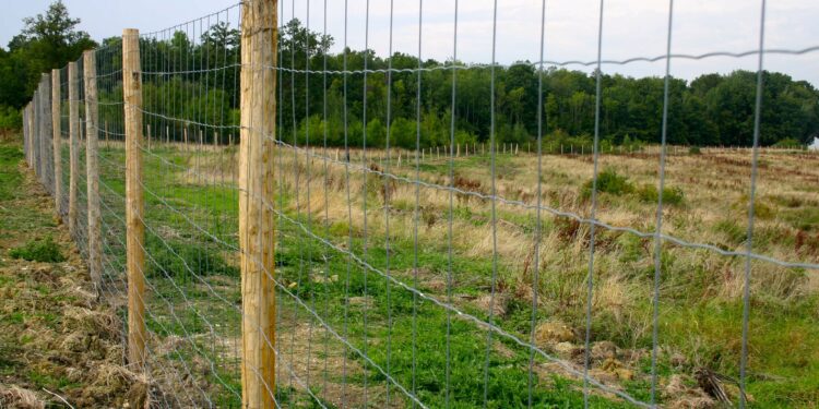 Qu'est-ce qu'un grillage soudé ?