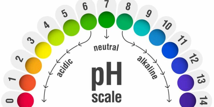 Qu'est-ce qu'un pH élevé ?