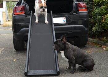 Qu'est-ce qu'une rapiettes ?