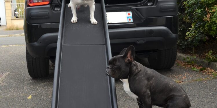 Qu'est-ce qu'une rapiettes ?