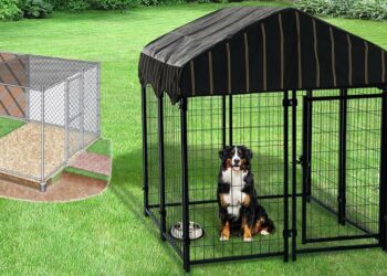 Qui Doit-on consulter avant de construire un chenil ?