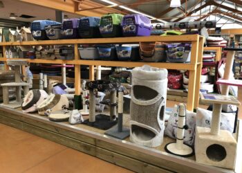 Qui a racheté Zooplus ?