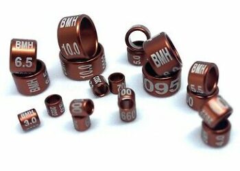 Qui contacter quand on trouve un pigeon bague ?