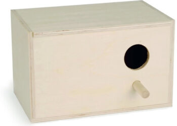 Qui couve les œufs chez les inséparables ?