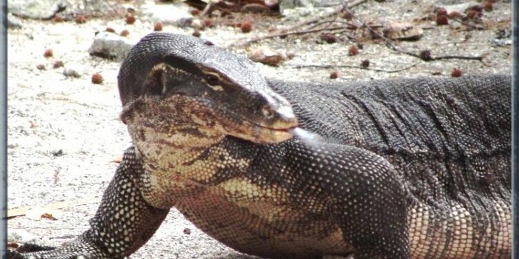 Qui donne faim en 9 lettres ?