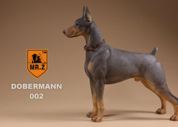 Qui est le chien le plus intelligent du monde ?