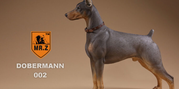 Qui est le chien le plus intelligent du monde ?