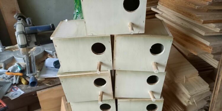 Qui fait le nid chez les perruches ?