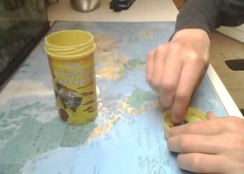 Qui mange les petits poissons ?