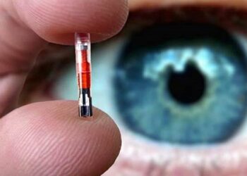 Qui peut lire puce chat ?