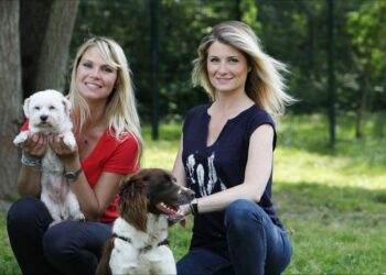 Qui sont les animatrices des animaux de la 8 ?