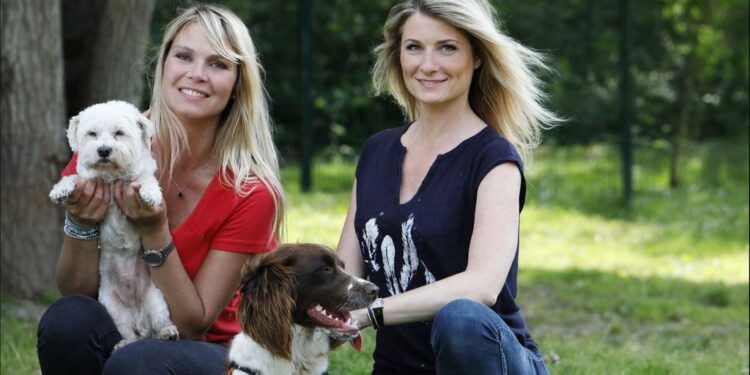 Qui sont les animatrices des animaux de la 8 ?