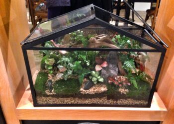 What animals can live in a jar?