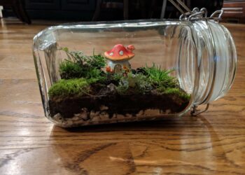 What animals go in a vivarium?