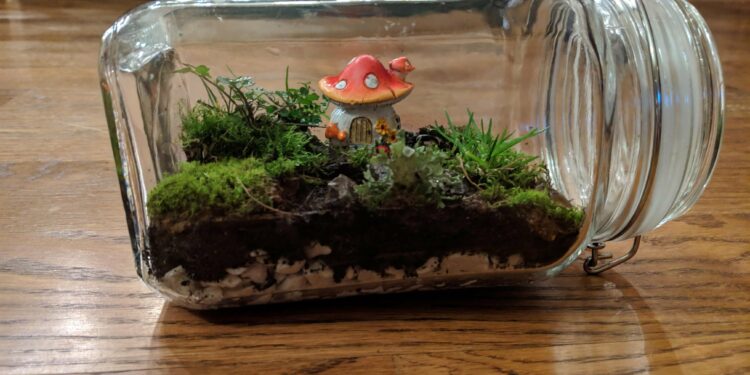 What animals go in a vivarium?