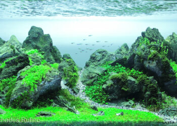 Why is aquascaping so hard?